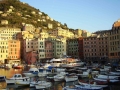 Camogli - Panoramica del porticciolo con facciate dipinte